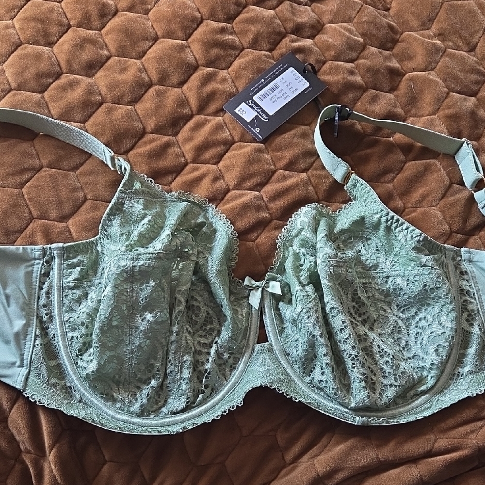 Elegant Lace Underwire Bra in Mint Green